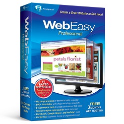 Web-Easy-Professional